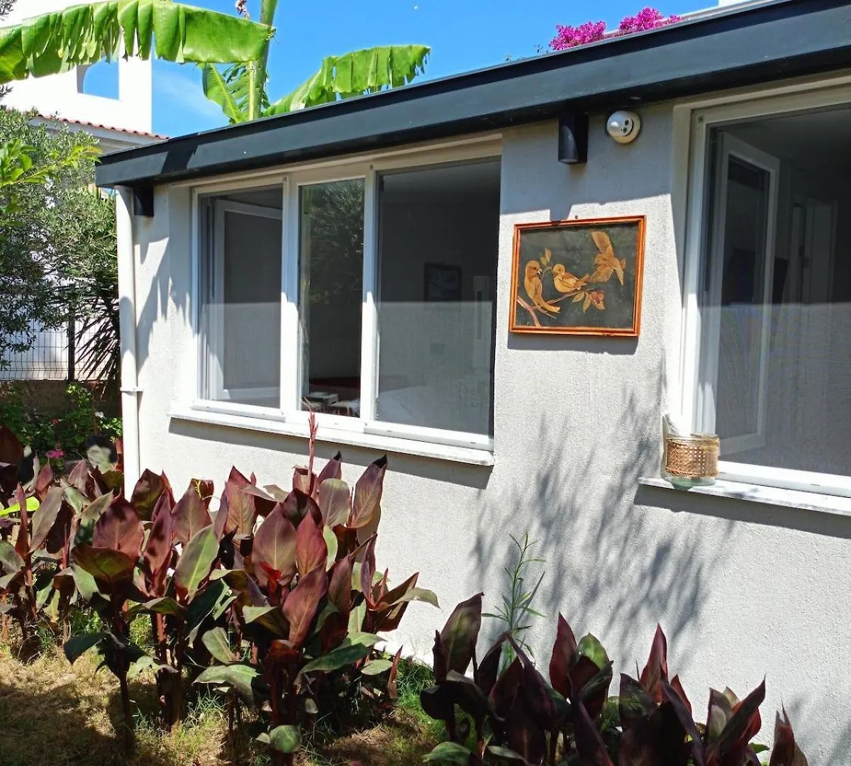 Kendine Oezgue Huzur Doga Ve Deniz Keyfini Yasayin Villa Cesme Holiday home